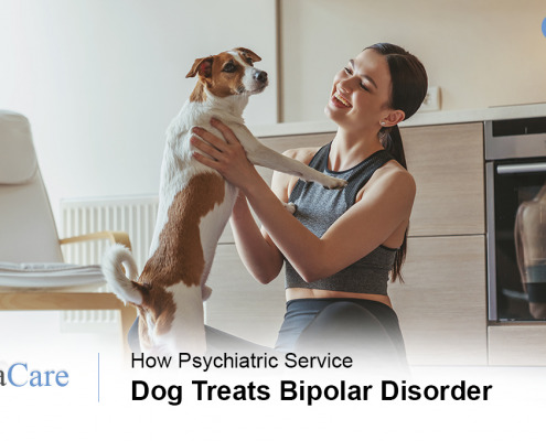 Psychiatric service dog bipolar disorder