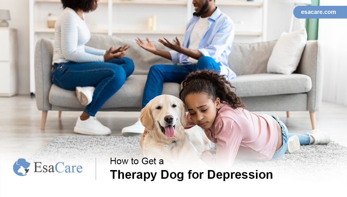 How To Get A Therapy Dog For Depression ESA Care