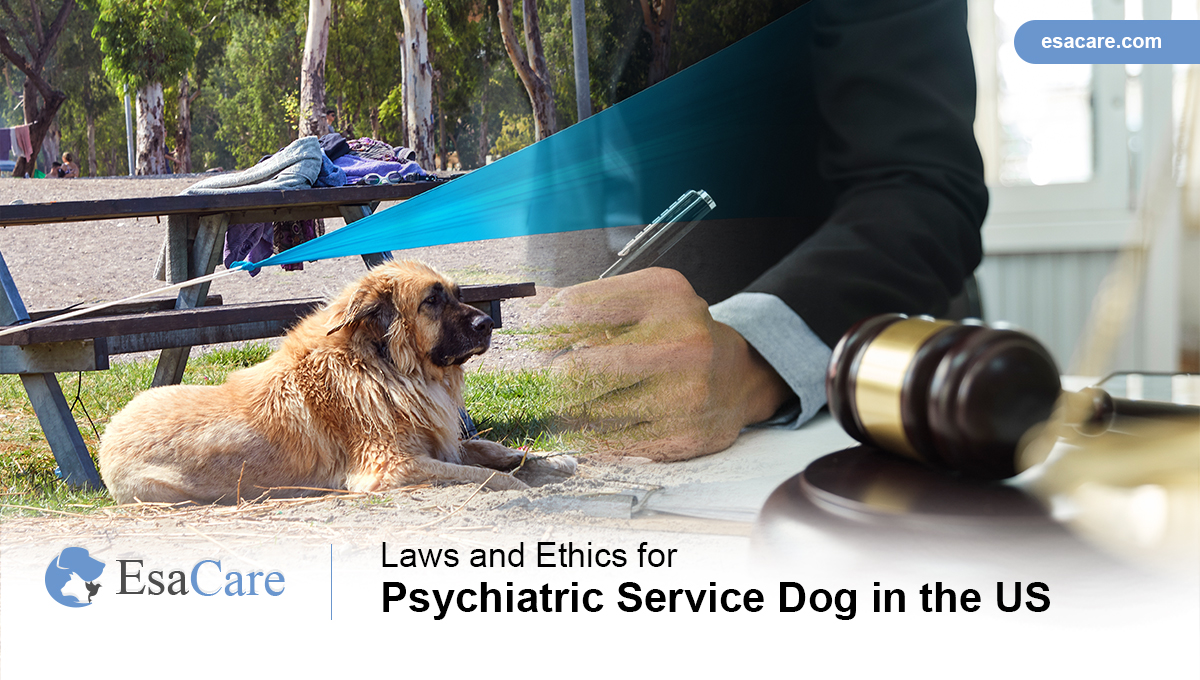 Psychiatric Service Dog Laws