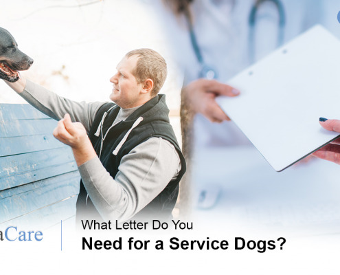 Service Dog Letters