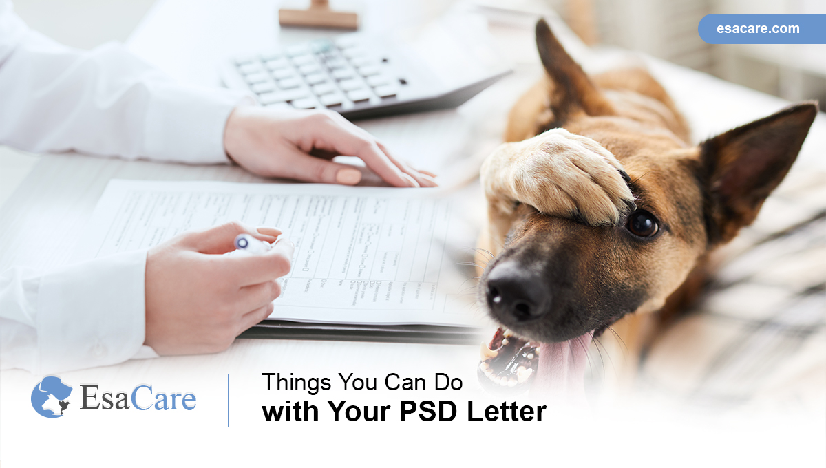 PSD Letter