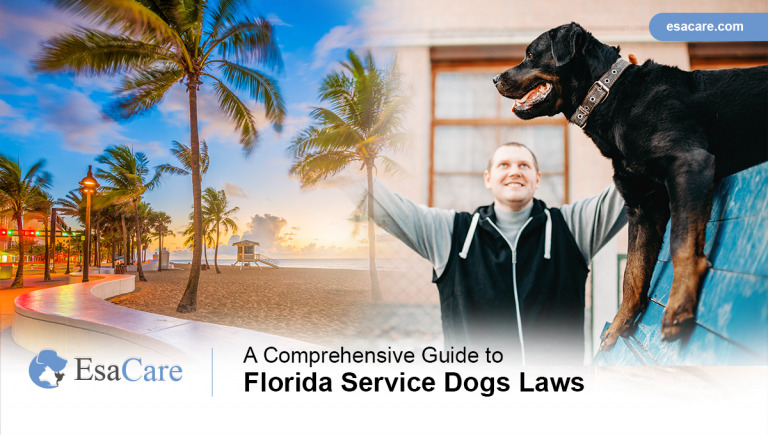 A Comprehensive Guide to Florida Service Dogs Laws  ESA Care