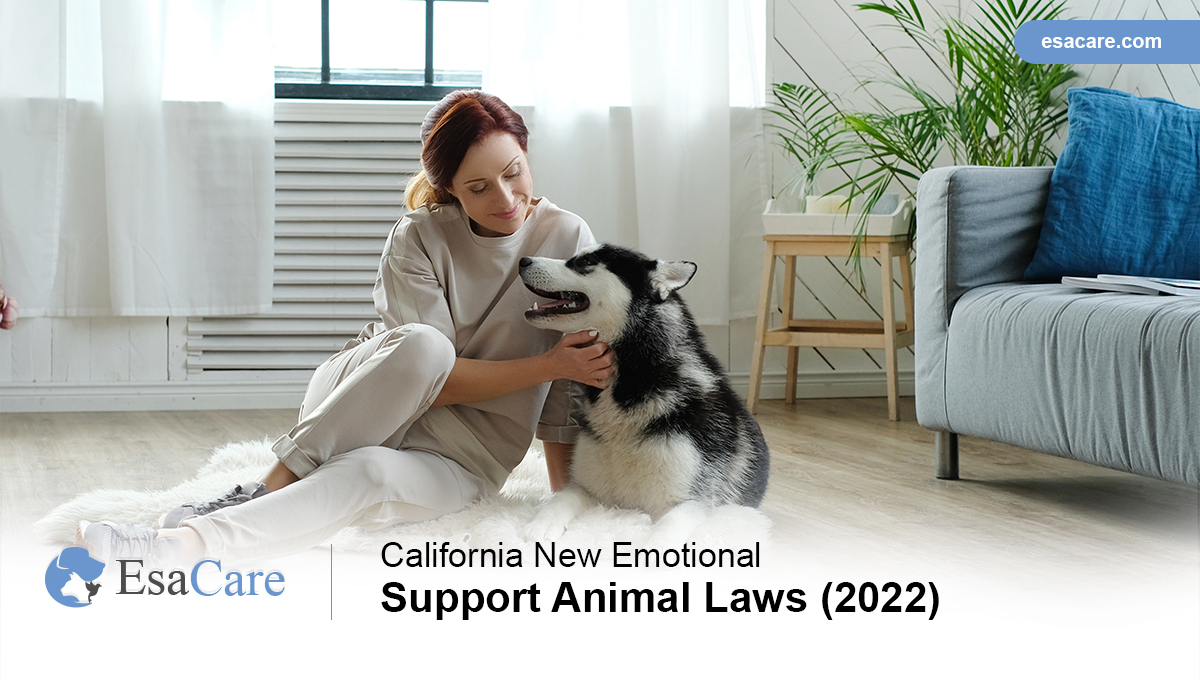 emotional support animal laws California