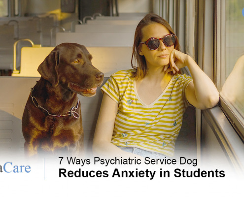 psychiatric service dog for anxiety