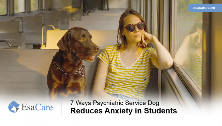 7-ways-psychiatric-service-dog-reduces-anxiety-in-students-esa-care