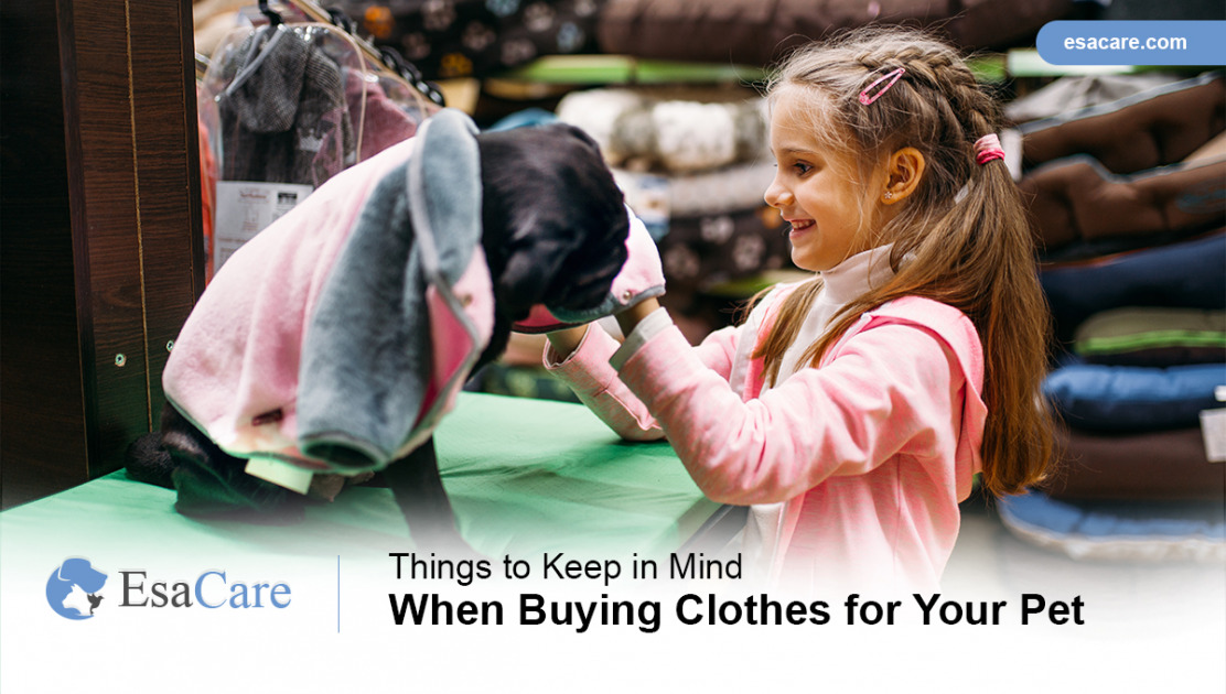 Things to Keep in Mind When Buying Pet Clothes for Your Pet ESA Care