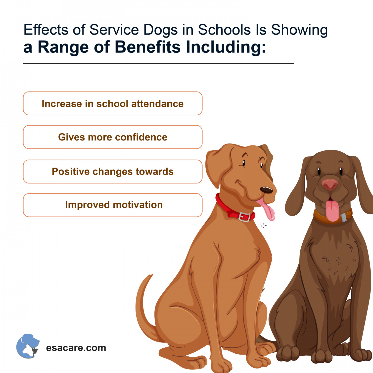 7 Ways Psychiatric Service Dog Reduces Anxiety In Students ESA Care