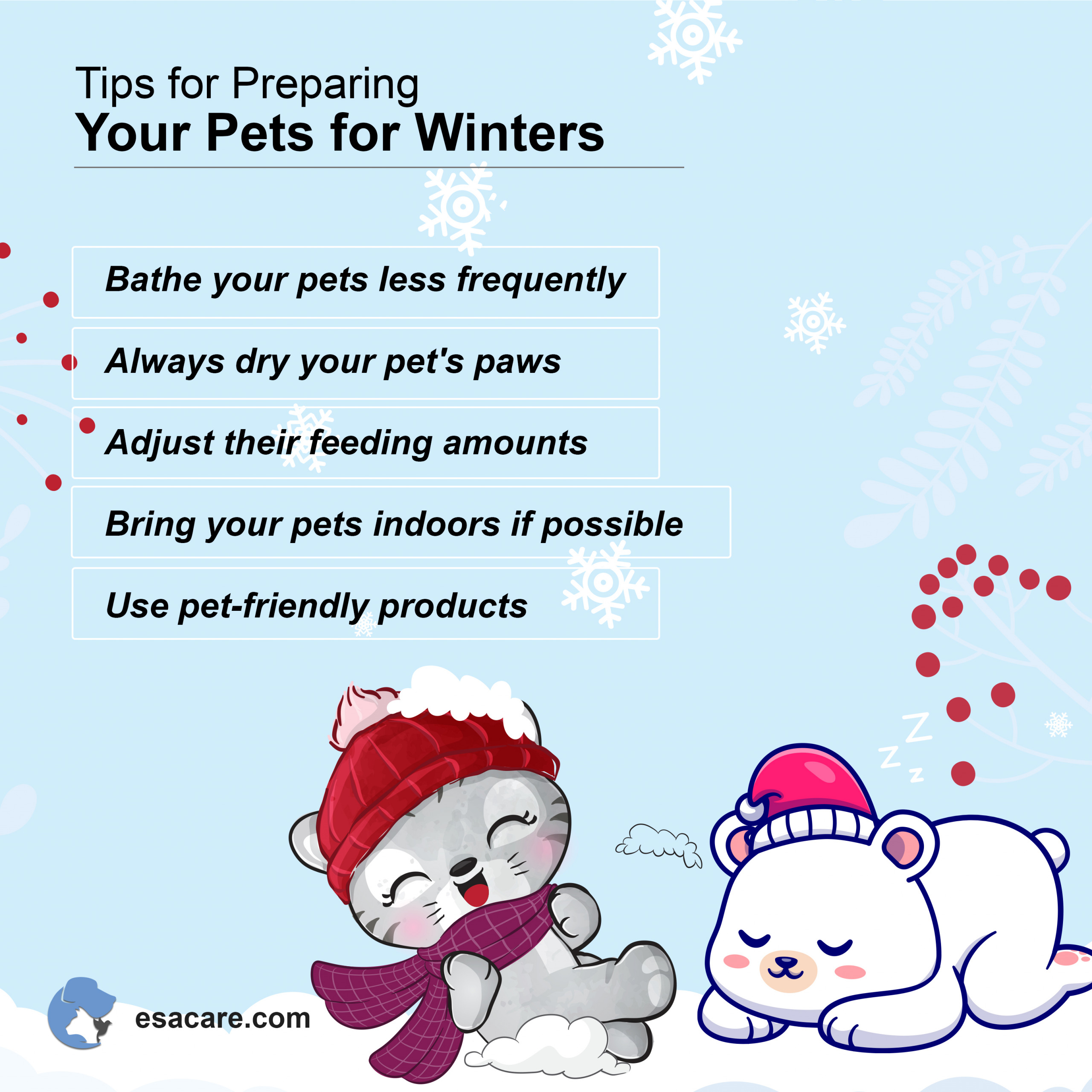 Pets in Winters