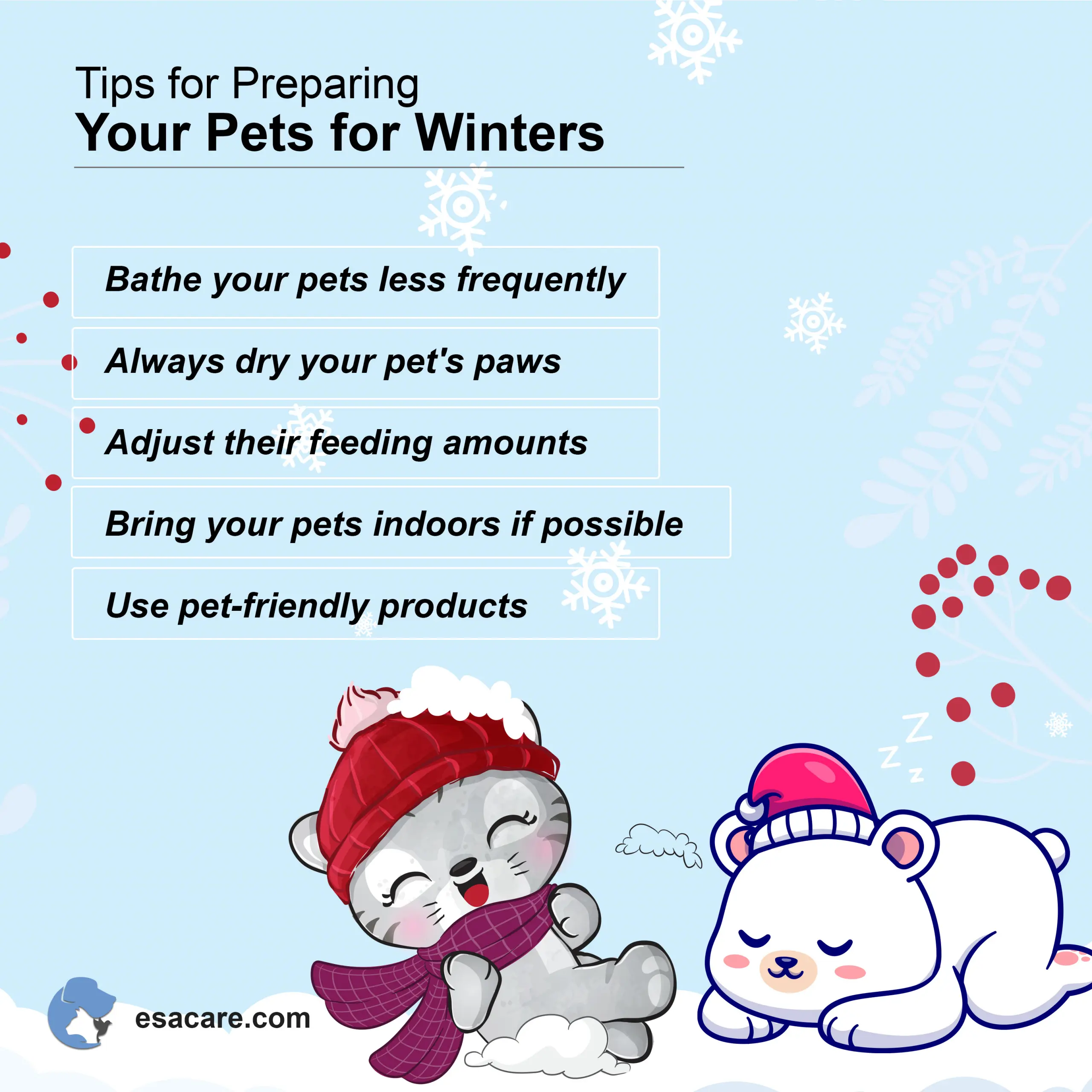 Tips for a happier winter with your pet