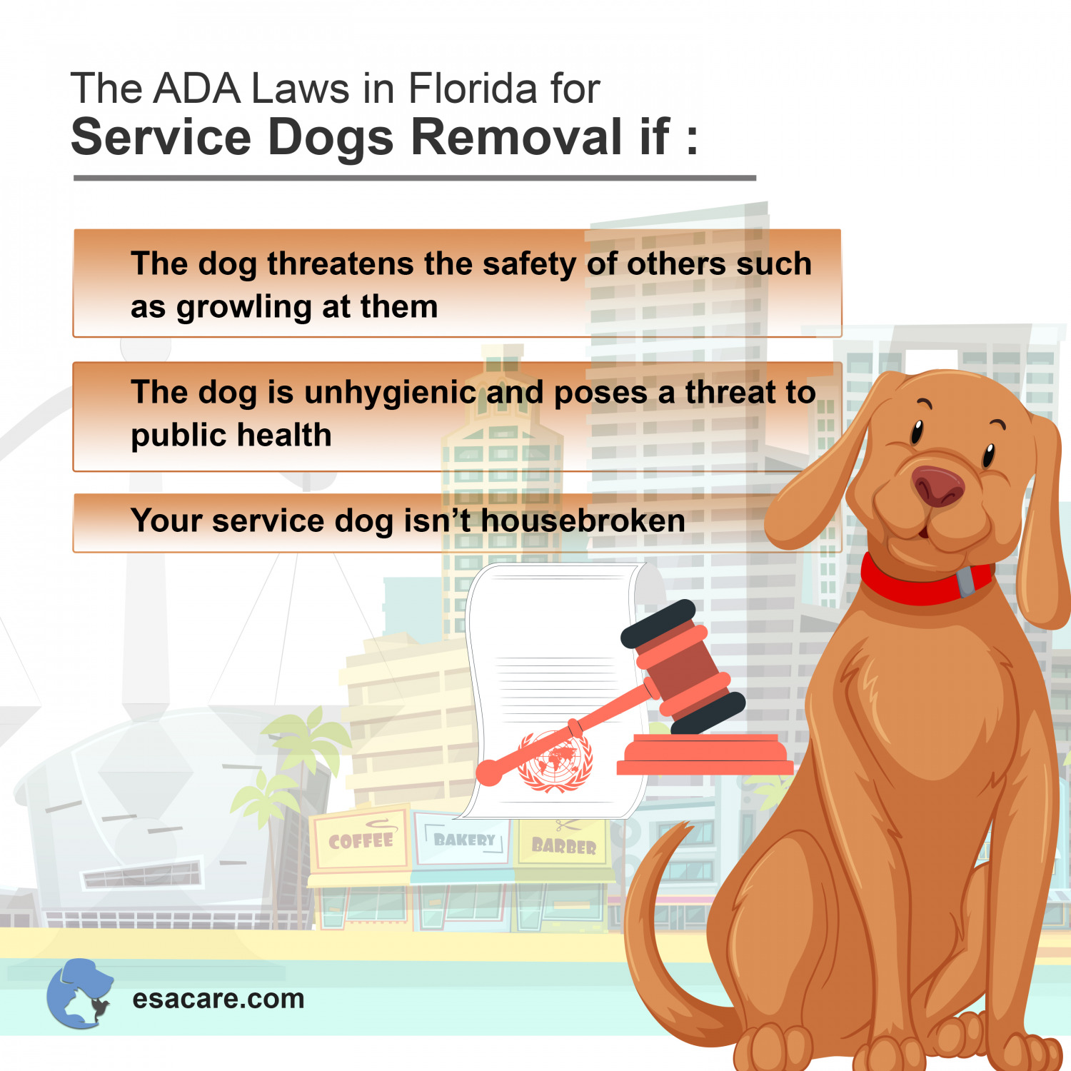 A Comprehensive Guide To Florida Service Dogs Laws - ESA Care