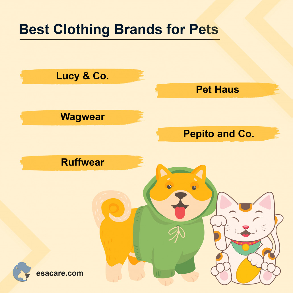 Things to Keep in Mind When Buying Pet Clothes for Your Pet ESA Care