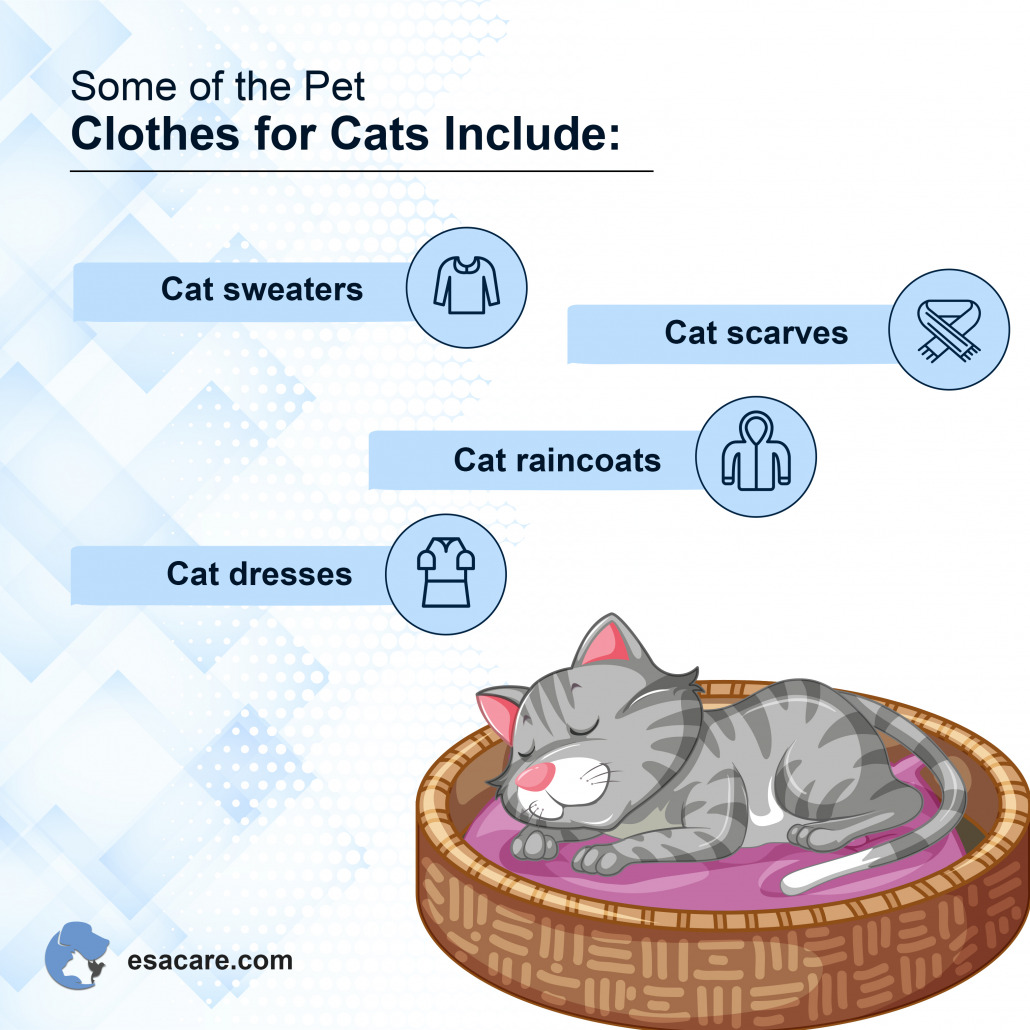 Things to Keep in Mind When Buying Pet Clothes for Your Pet ESA Care