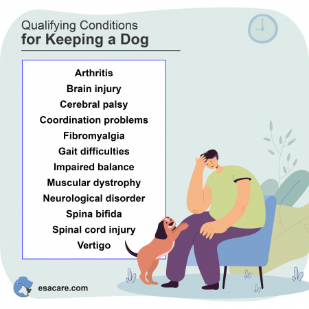 Common Dog Behavior You Should Know About - ESA Care