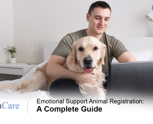 What is Emotional Support Animal Letter- ESA Care