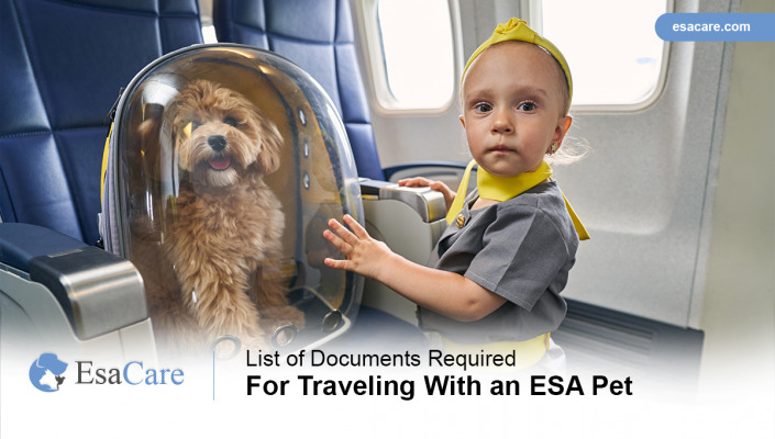 List of Documents Required For Traveling With an ESA Pet ESA Care