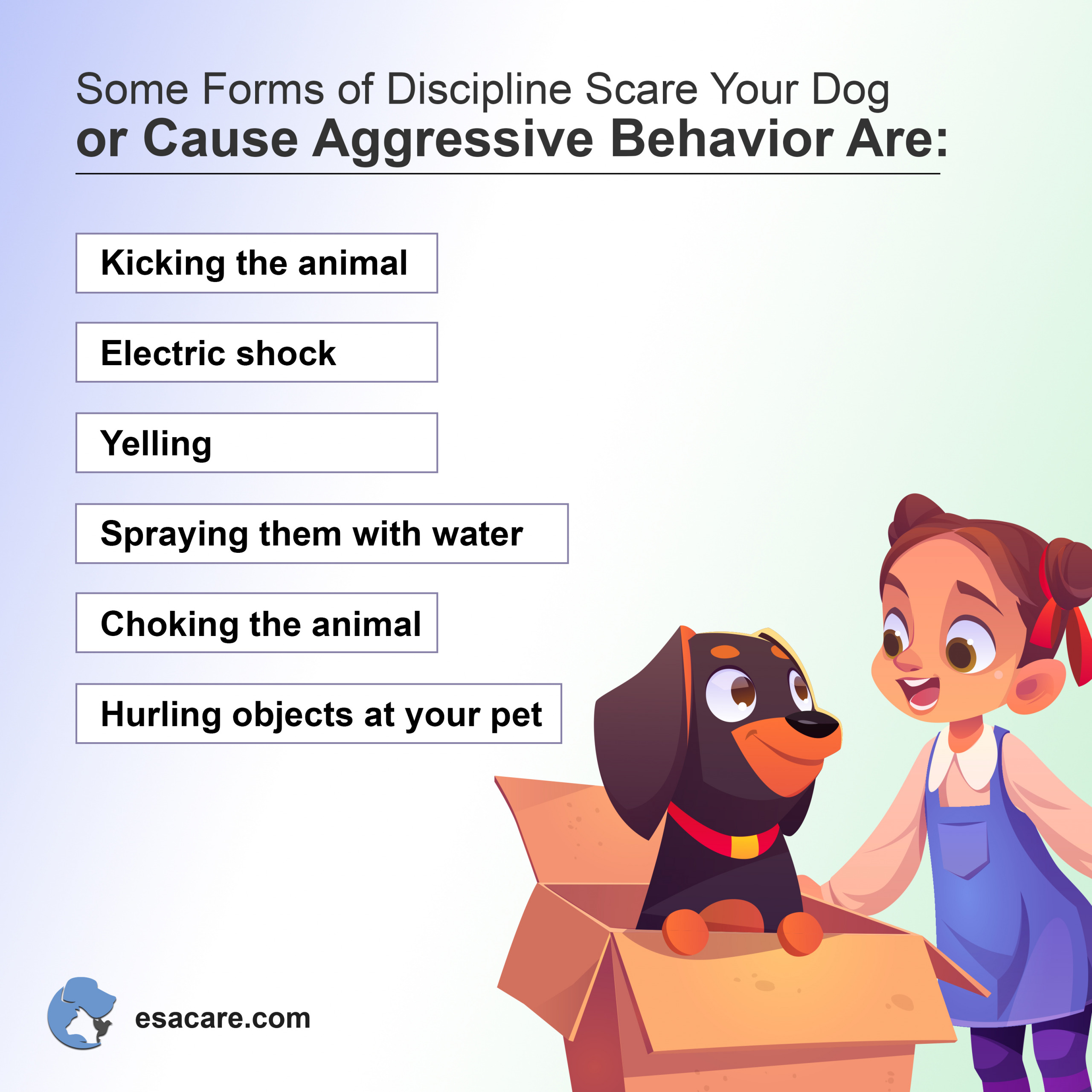 Discipline your Dog