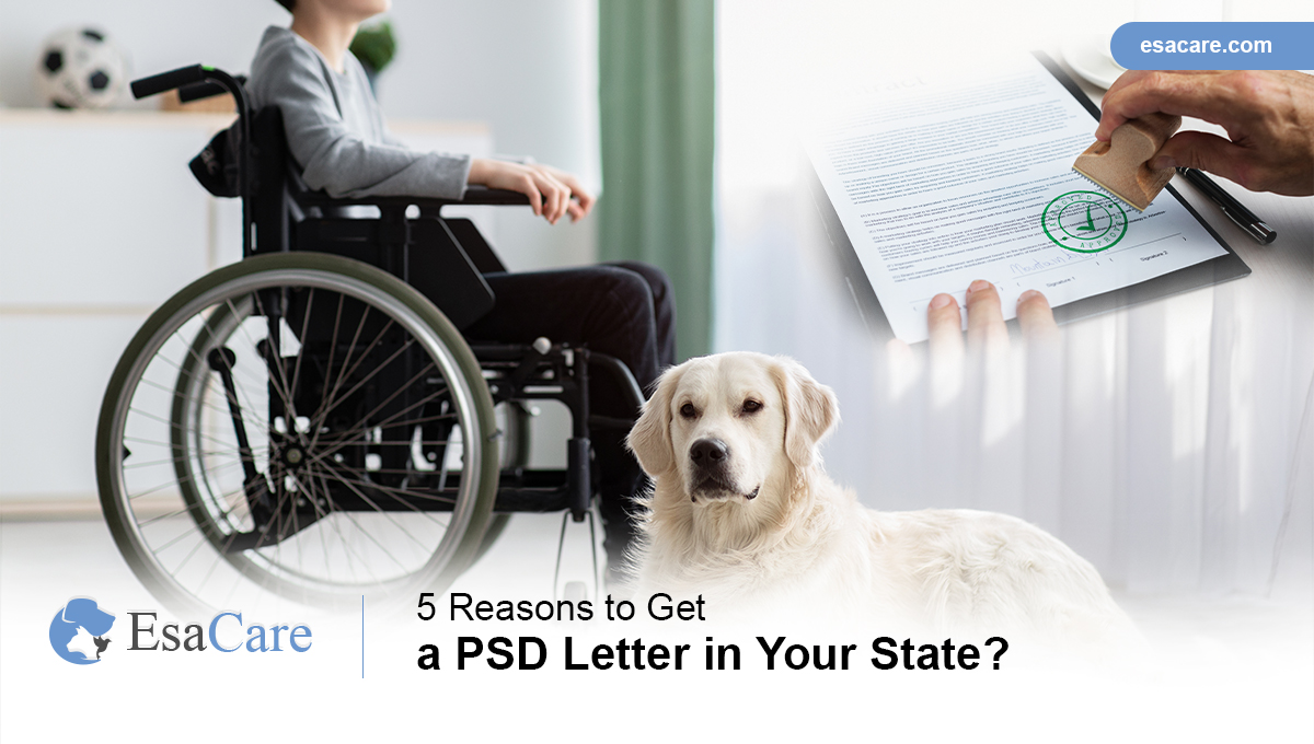 PSD Letter