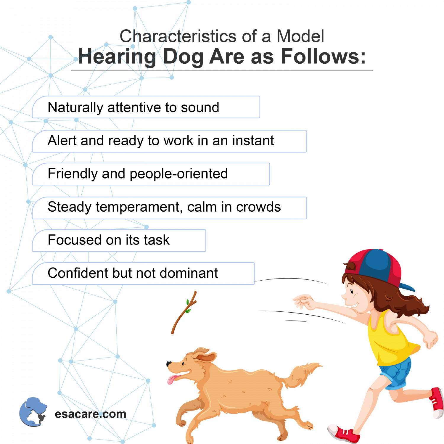 How to Get a Hearing Dog for The Deaf ESA Care
